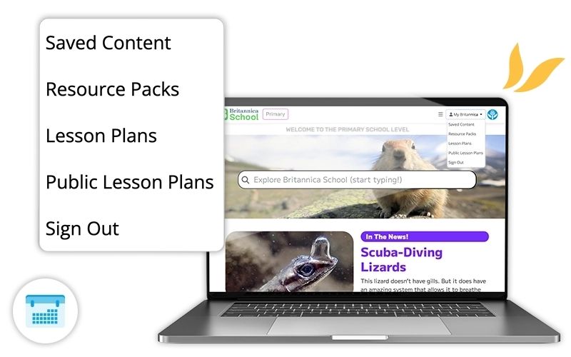 Accordion switching image