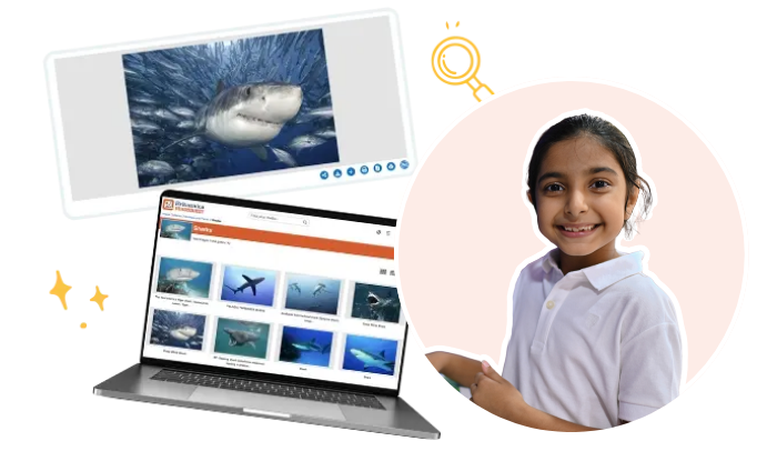 Equitable Access to Trusted Visual Content