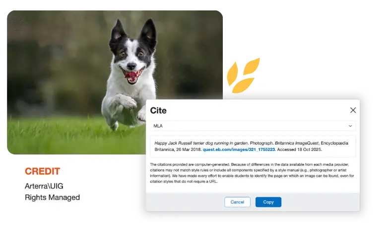 Accordion switching image