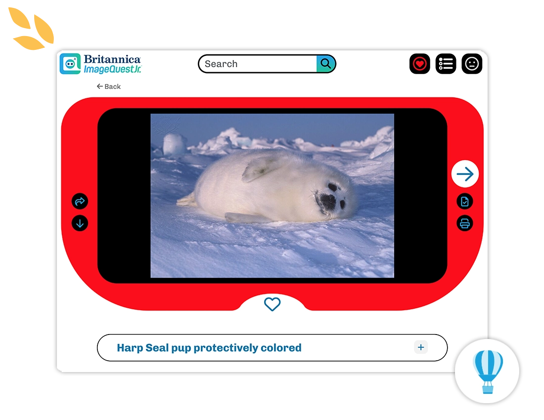 Accordion switching image