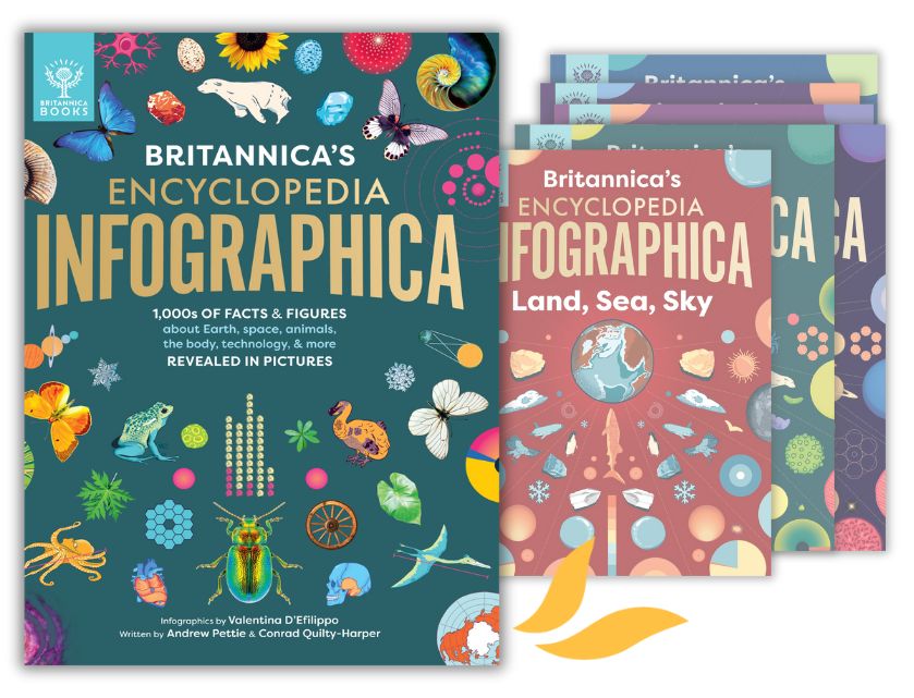 Accordion switching image