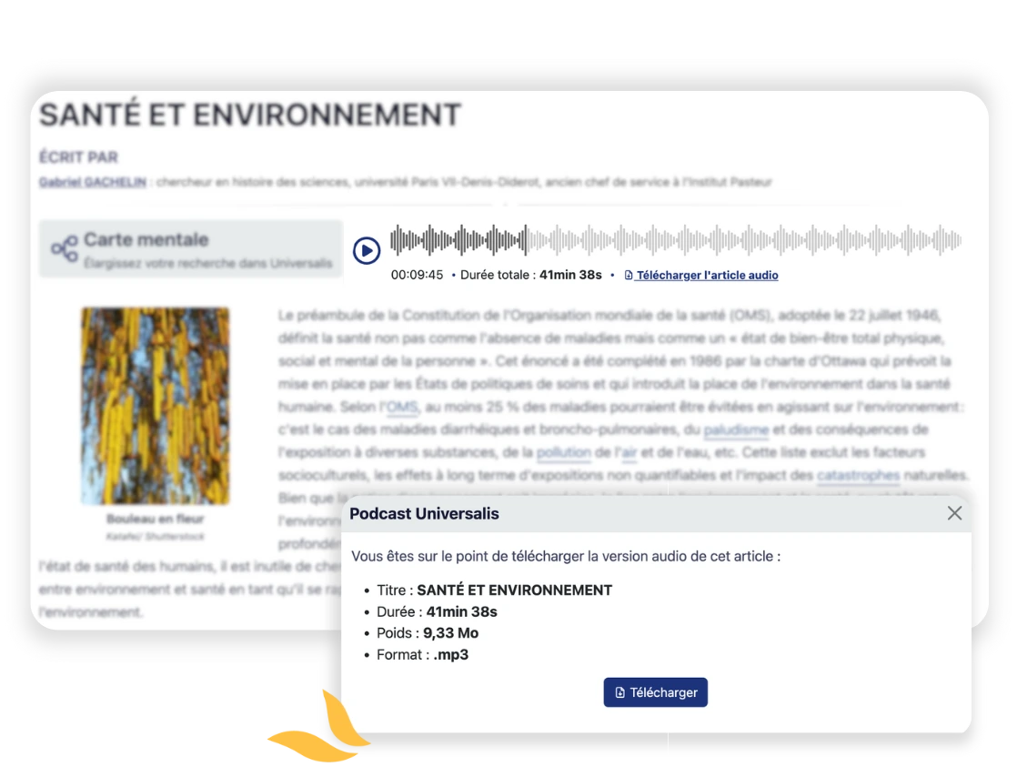 Accordion switching image
