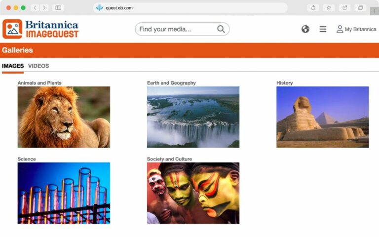 ImageQuest Search and Organization Collections