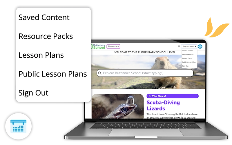 Accordion switching image