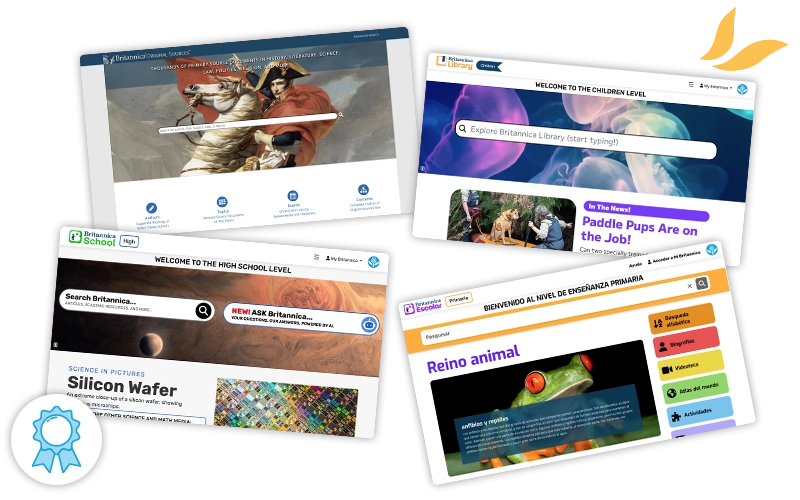 Accordion switching image