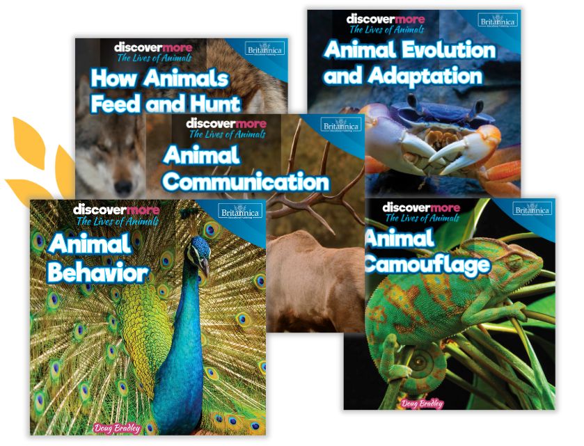 collage of discovermore: Animal Evolution and Adaptation books