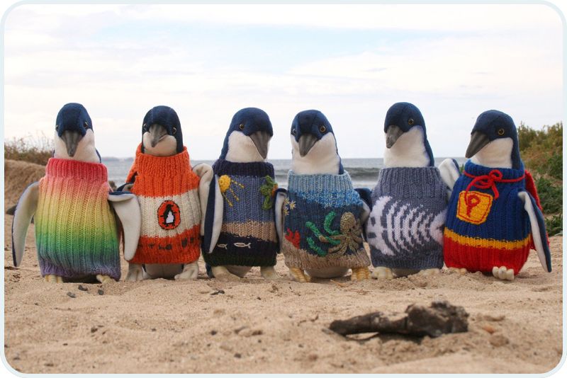 Penguins wearing sweaters