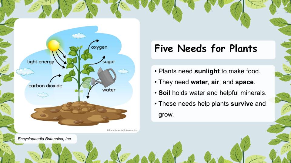 Present It slide explaining the five needs for plant growth