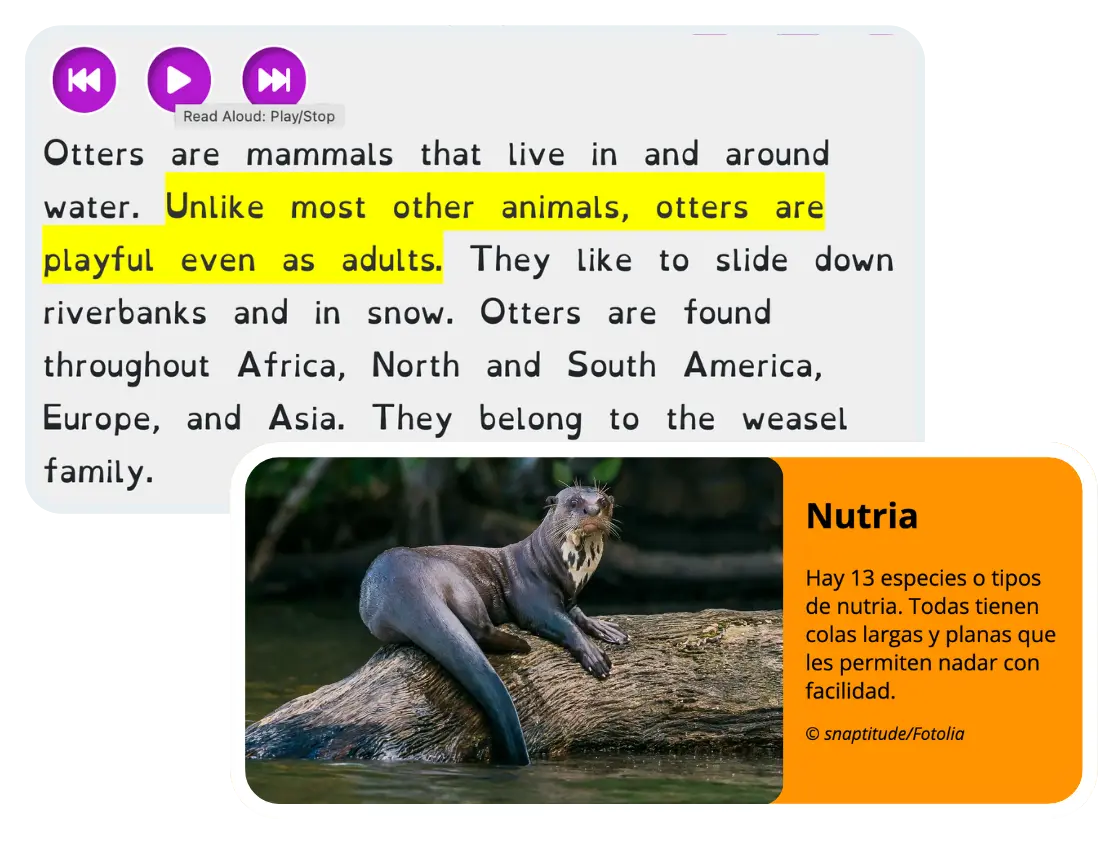Britannica School: Elementary tool showing photo of otter laying on log in the river along with facts about otters.